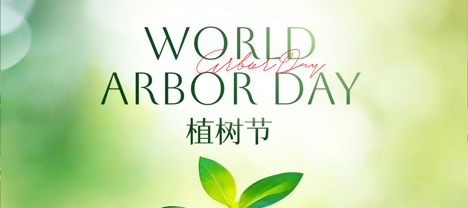 植一片青绿  守一份初心